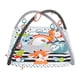 thumbnail image 3 of Gimnasio de Actividades Fisher Price Newborn Musical 3 en 1, 3 of 4
