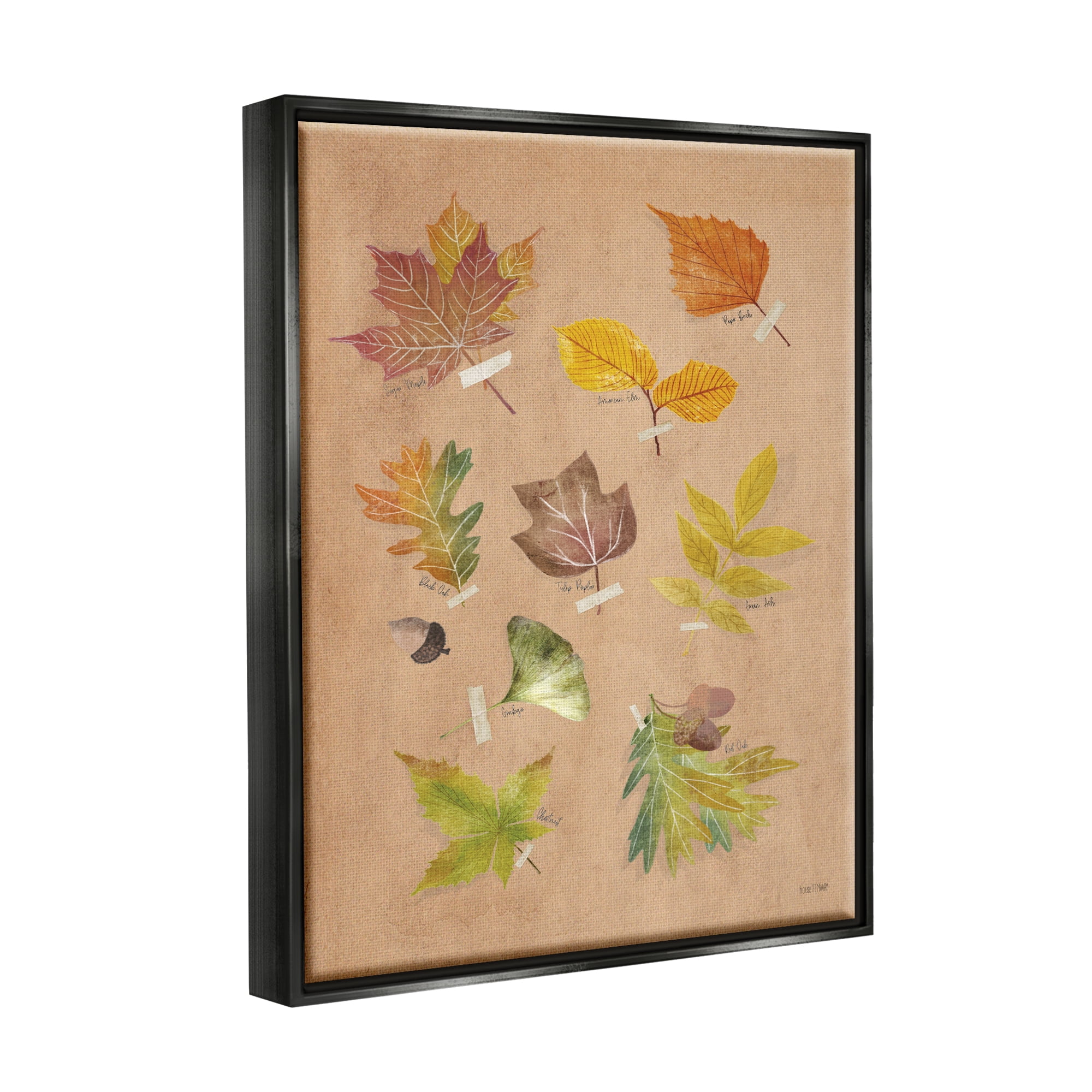 Stupell Industries Woodland Leaf Studies Botanical & Floral Painting Black Floater Framed Art Print Wall Art, 17 x 21