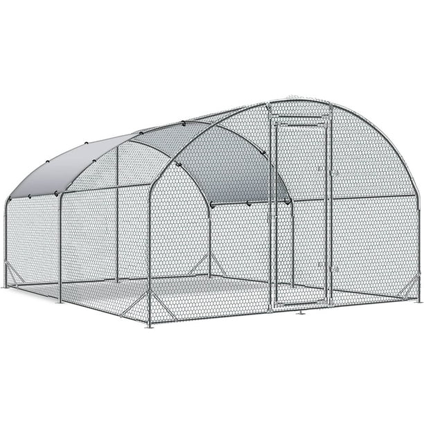 10x10 Chicken Run