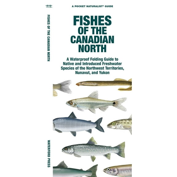 Nature Observation North America Fishes of the Canadian North, (Paperback)