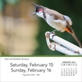 thumbnail image 4 of Turner Licensing, Songbirds 2025 Desk Calendar, 4 of 4