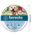 thumbnail image 3 of Sueño A Nt I Chip A Nt I Chip collar, Ant I Chips y un Nt I -garrapatas para perros, 3 of 4