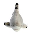 thumbnail image 2 of Aurora Stuffed Animals -Blacktip Shark 12.5", 2 of 2