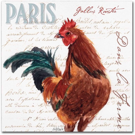 Trademark Fine Art "Dans la Ferme Rooster II" Canvas Art by Jennifer Redstreake