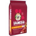 IAMS PROACTIVE HEALTH Adult Dry Dog Food Beef and Rice, 15 lb. Bag