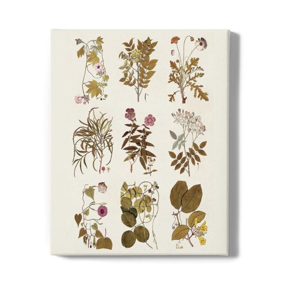 Antique Floral Grid Ii Wrapped Canvas -Vision Studio Designs,