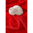 thumbnail image 6 of Shubozy King Size Heavyweight Fleece Blanket – Silky Soft, Warm & Luxurious Winter Bed Blanket, Fade-Resistant Plush Throw,King ,Red, 6 of 8