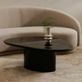 thumbnail image 6 of Moe's Home Collection EDEN MDF Coffee Table Black Color, 6 of 6
