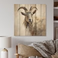 thumbnail image 2 of Designart "Grazing Goats with Grace III" Animals Print on Natural Pine Wood, 2 of 5