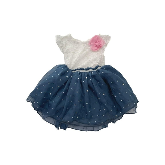 Infant Baby Girls Blue Sparkle & White Lace Pink Flower Dress 2T