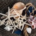 thumbnail image 4 of Nautical Crush Trading Nautical Beach Wedding Starfish Wall Decor, Set of 10, 4 of 6