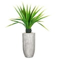 thumbnail image 1 of Vintage Home Artificial 68" High Artificial Faux Agave With Fiberstone Planter For Home Decor, 1 of 1
