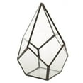 thumbnail image 1 of Geometric Glass Open Fern Succulent Plant Planter home and garden Flower Pot, 1 of 9