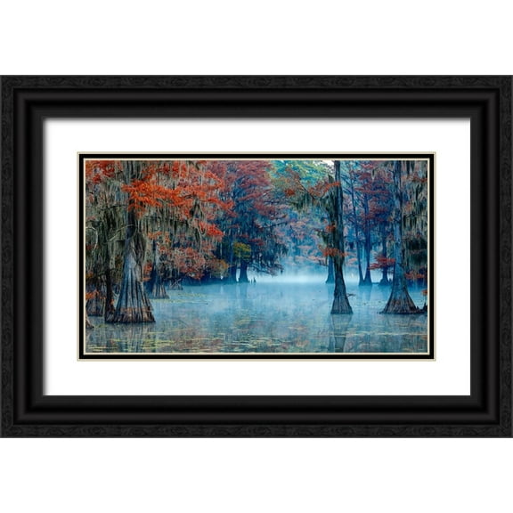 Bian, James 14x10 Black Ornate Wood Framed with Double Matting Museum Art Print Titled - Caddo Lake