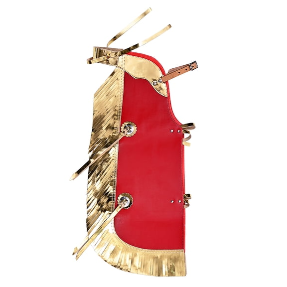 Hilason Western Leather Kids Junior Youth Pro Rodeo Bull Riding Chaps