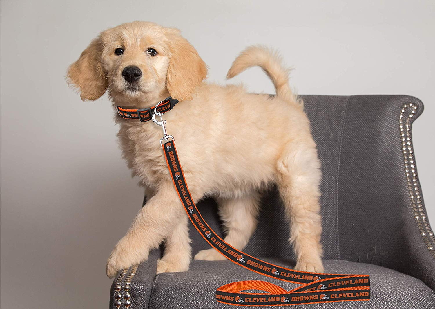 Pets First NFL Cleveland Browns Heavy Duty and Durable Dogs and Cats Sports Leash - Small