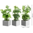 thumbnail image 3 of MyGift Artificial Taro Plants Faux Greenery in Gray Cement Square Pots, Set of 3, 3 of 6
