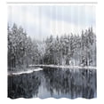 thumbnail image 3 of Ambesonne Winter Shower Curtain, Trees in Cold Day Lake, 69"Wx84"L, White Brown, 3 of 5