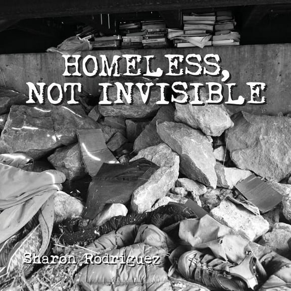 Homeless, not Invisible, (Paperback)