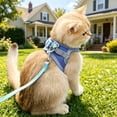 thumbnail image 6 of PEONAVET Cat Harness and Leash Set, Color Blocked Pet Strap and Leash Set Breathable Mesh Vests with Adjustable Straps Suitable for Small and Medium Cats and Dogs(Blue), 6 of 7