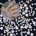 thumbnail image 3 of Flores, Accesorios Para Decoración De Uñas, Bolas De Acero Mixtas, Calcomanías De Esmalte De Uñas 3D, Herramienta De Manicura Diy 1 Caja Moyic CE007547-03, 3 of 5