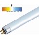 thumbnail image 4 of T5 High Efficiency 840 Cool White Fluorescent 549mm Tube 4000k HE (FH1840), 4 of 5