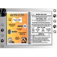 thumbnail image 3 of Be Better LM Pets - 2 Pack Lint Roller for Pet Hair and Pet Dog Cat Brush, 3 of 9