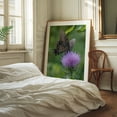 thumbnail image 2 of Butterfly and Thistle in the Virginia Mountains - Virginia Photography Butterfly Nature Insect Floral Wildlife Scenic Botanical Oak Framed Wall Art Print 6 x 8 inches, 2 of 12