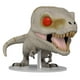 thumbnail image 1 of FUNKO POP JURASSIC WORLD DOMINION ATROCIRAPTOR (GHOST) 1219 Funko Funko, 1 of 3