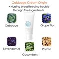 Cabbage Cream for Breast Clogged Ducts, Weaning and