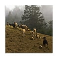thumbnail image 2 of Gango Home Decor Misty Pasture by Rita Crane (Printed on Paper); One 24x24in Fine Art Paper Giclee Print, 2 of 4