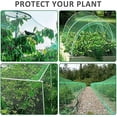 thumbnail image 4 of Nvzi Red de protección antipájaros, red para plantas de jardín,verduras, frutas y arbustos con cable reutilizable y clavijas de jardín en forma de U, 4 of 5
