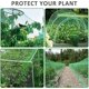 thumbnail image 4 of Zhuge Red de protección antipájaros, red para plantas de jardín, red antipájaros de nailon resistente para arbustos con cable reutilizable y clavijas de jardín en forma de U, 4 of 5