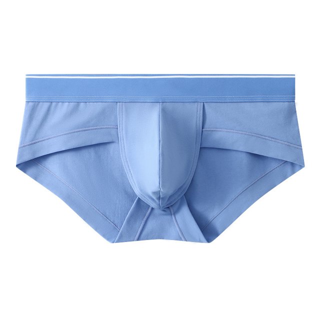 Calzoncillos de algodón puro para hombre, transpirables, con forma de U, con bolsa grande, cintura baja, sexys, para jóvenes