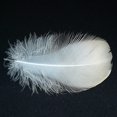 thumbnail image 5 of 450 piezas de plumas blancas YONGSHENG 3-5 pulgadas para manualidades, 5 of 5