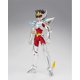 thumbnail image 2 of Figura de Coleccion Bandai Tamashii Pegaso Seiya Tenkai Heaven Saint Seiya Myth Cloth, 2 of 6