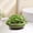 Green, variant on Indoor Home office Tabletop Decor Pot, Large Vintage Distressed Ceramic Planter, Multipurpose Plant Vessel for Cultivating s and Trailing Pothos