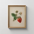 thumbnail image 3 of Set of 3 Unframed Vintage Fruit Strawberry Raspberry Blueberry Rustic Art Poster Retro Botanical Kitchen Decor Painting Canvas Print Maximalist Wall Picture for Dorm, Apartment, Bedroom, Living Room, 3 of 4