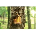 thumbnail image 2 of Comedero con plataforma Woodlink Audubon Squirrel, cedro natural, 2 of 6