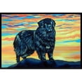 thumbnail image 1 of Carolines Treasures 7518MAT Tapis d'Extérieur Intérieur 18 x 27 Po Newfoundland, 1 of 4