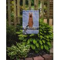 thumbnail image 2 of Carolines Treasures BB5648GF German Shepherd Welcome Garden Size Flag, 2 of 3