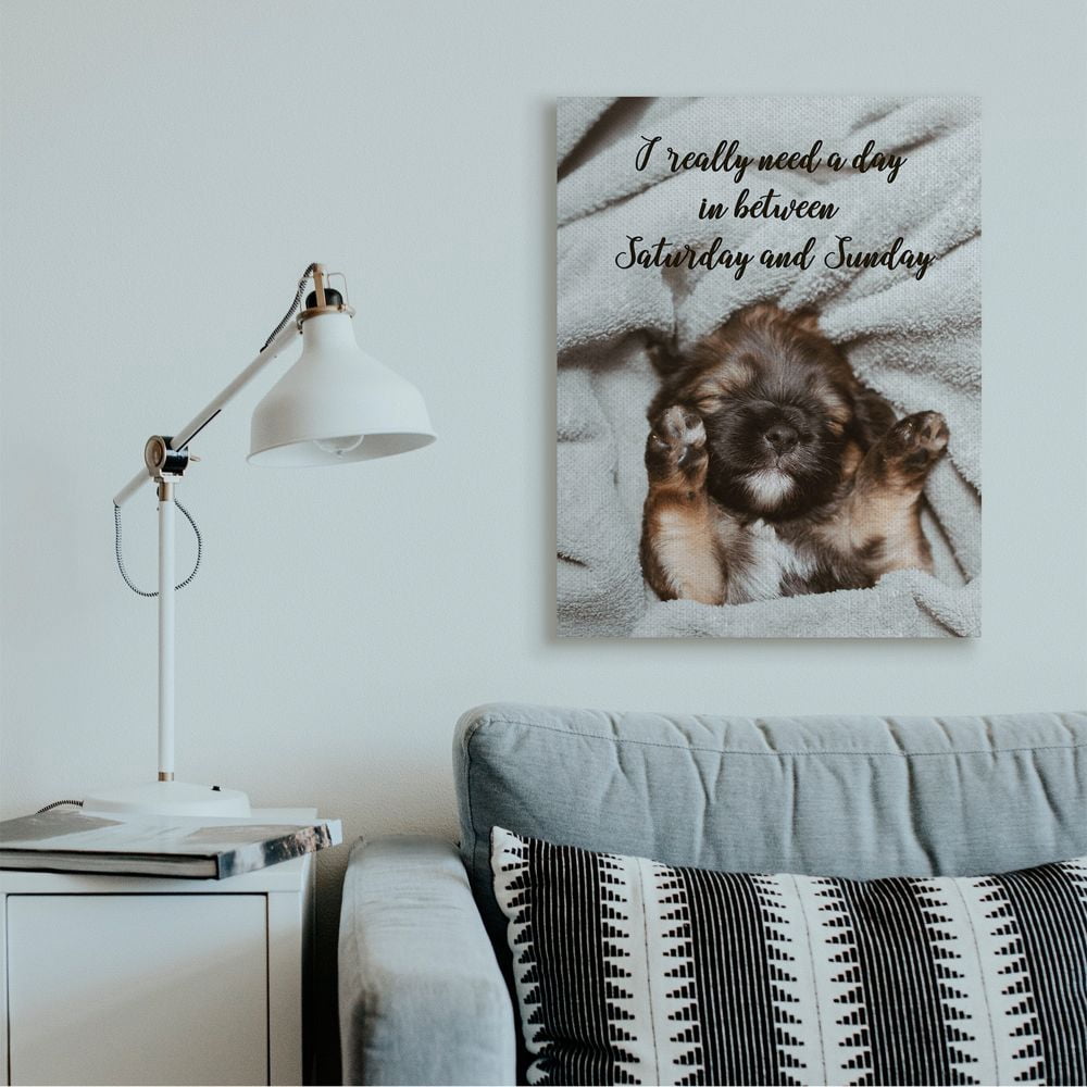 Stupell Industries Three Day Weekend Phrase Funny Puppy Pet Humor Canvas Wall Art Design by Ziwei Li, 30" x 40"