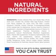 thumbnail image 4 of Adult Sensitive Stomach & Skin Chicken & Rice Recipe Dry Cat Food - Dry Cat Food, 4 of 5