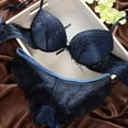 thumbnail image 6 of Women Bra Set Lingerie Set Luxurious Vintage Lace Embroidery Push Up Bra and Panty Set, 6 of 6