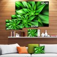 thumbnail image 3 of Pétales de Fleurs Verts Exotiques - Impression sur Toile Florale, 3 of 4