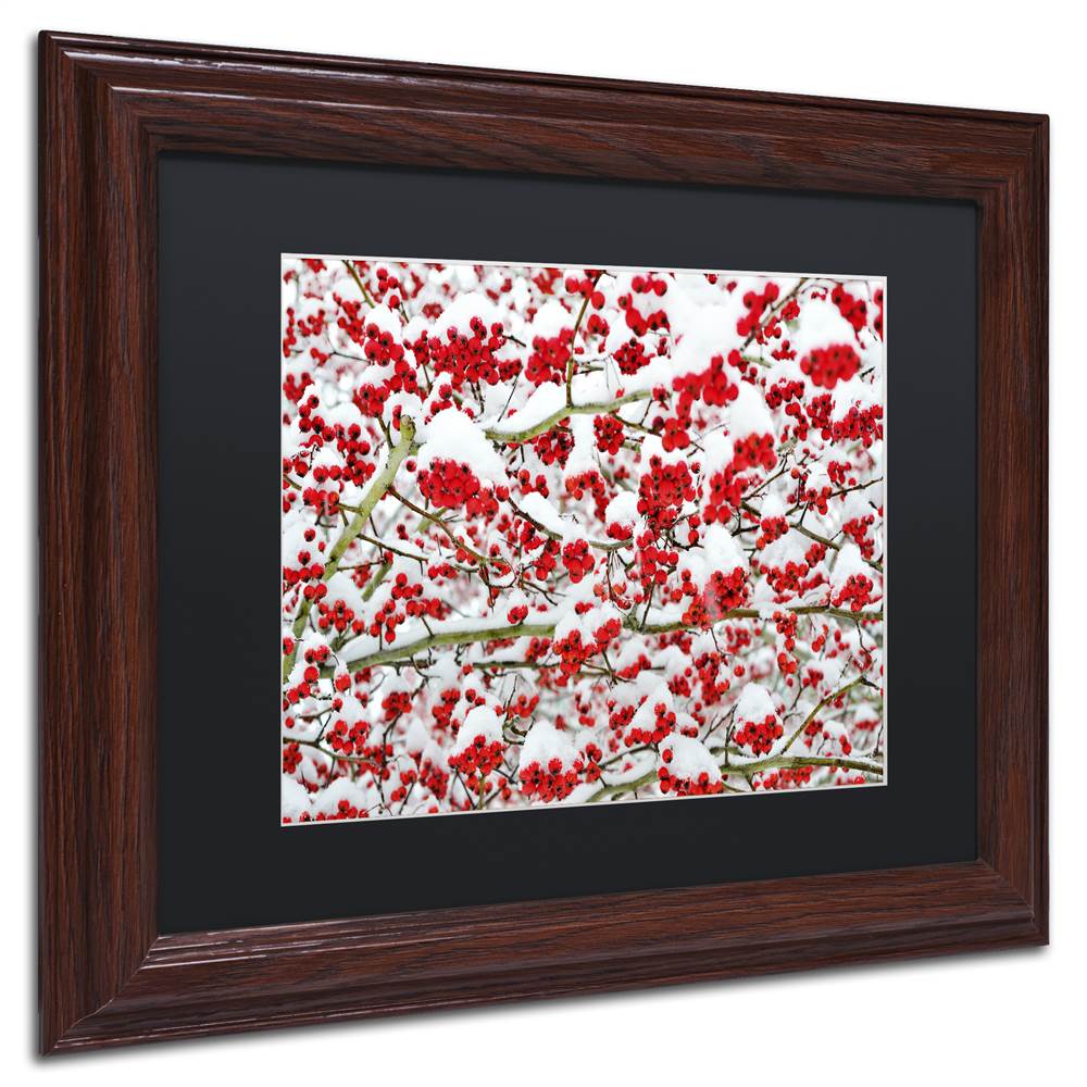 Trademark Fine Art KS0190-W1620BMF inter Berries in the Snow by Kurt Shaffer 16x20 FRM Art BLK MTD