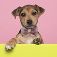 thumbnail image 3 of FloreceBien Suministros personalizados para mascotas con cuello a cuadros, 3 of 5