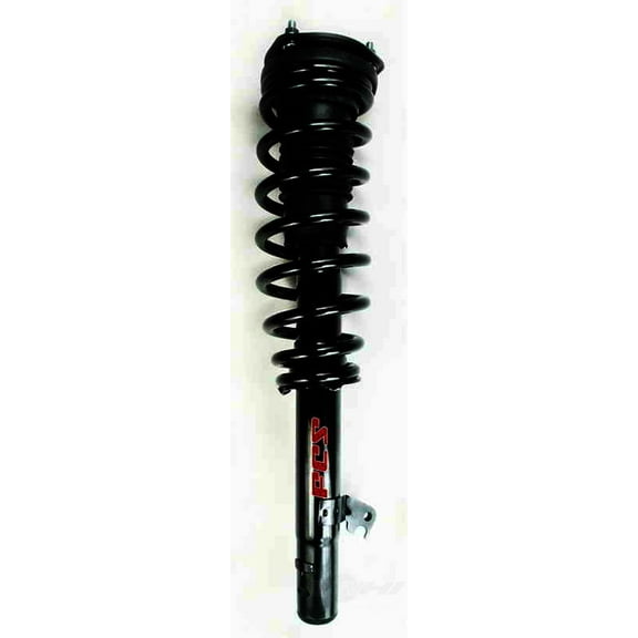 Suspension Strut and Coil Spring Assembly