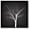 BLACK, variant on wall26 Framed Canvas Wall Art for Living Room, Bedroom Abstract Trees Canvas Prints for Home Decoration Ready to Hang - 16x16 inches