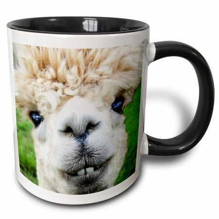 3dRose Alpaca. Lama. South America. White. - Two Tone Black Mug,